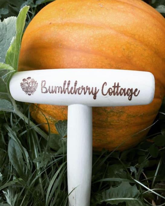 Bumbleberry Cottage Gresford Eksteriør bilde