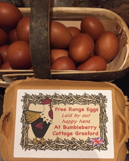 Bumbleberry Cottage Gresford Eksteriør bilde